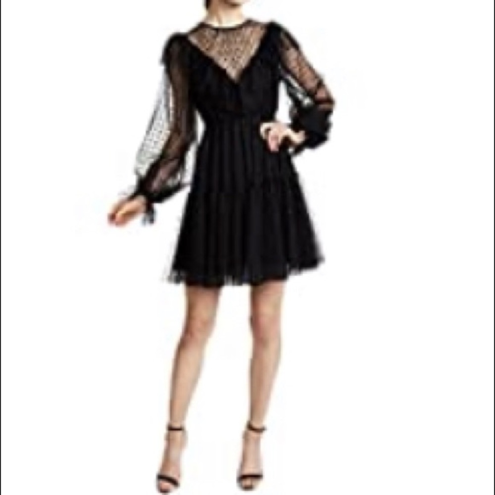 Black mesh dress